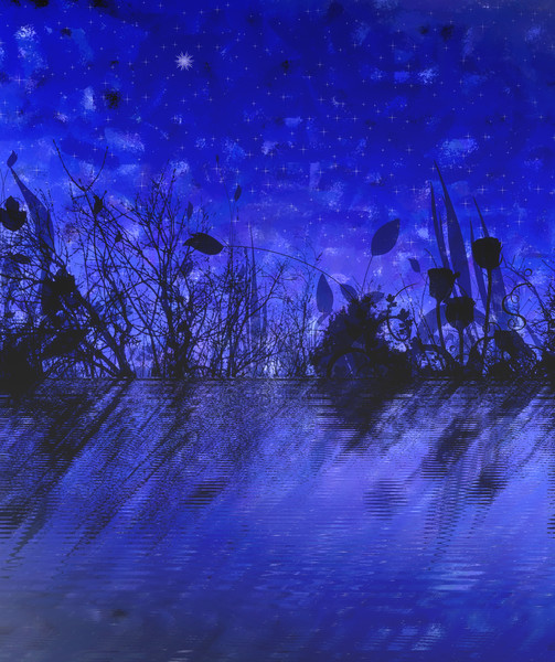 Midnight Marsh