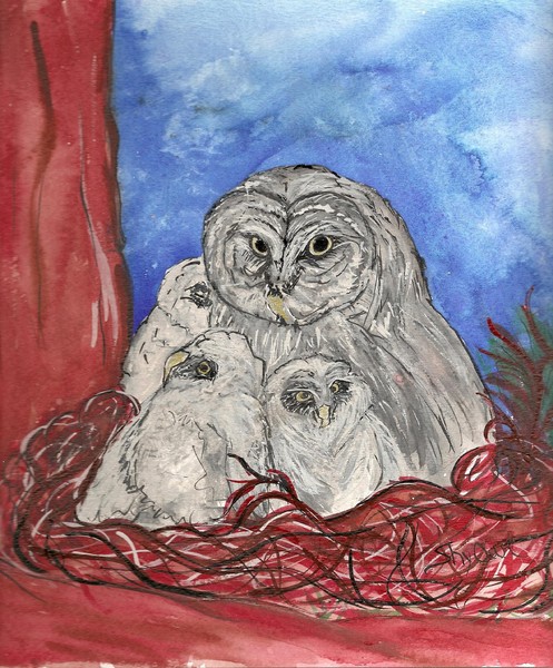 Nesting Owls