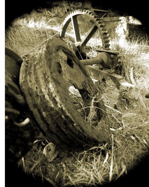 gear and wheel