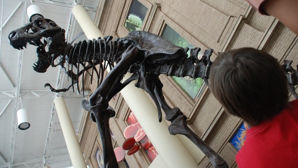 Alasdair views T-REX / Denver, CO