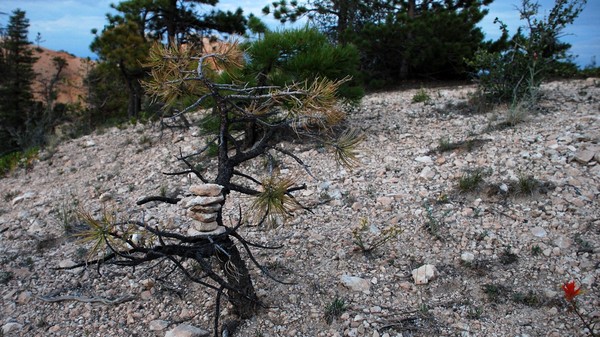 Rock Balancing in Bryce Canyon, UT - I'm a novice