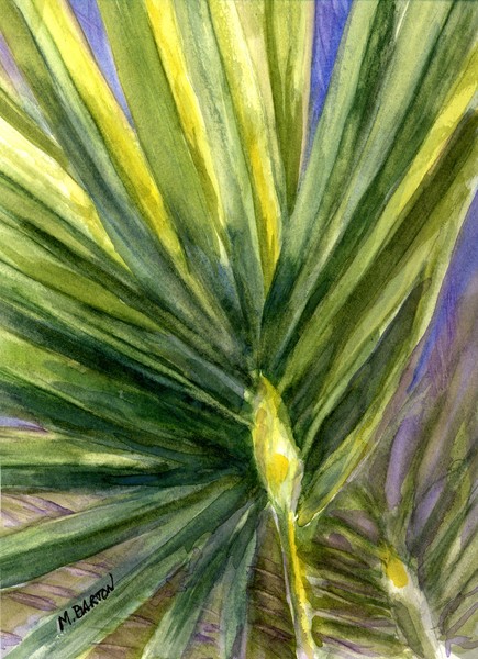 Palm Frond