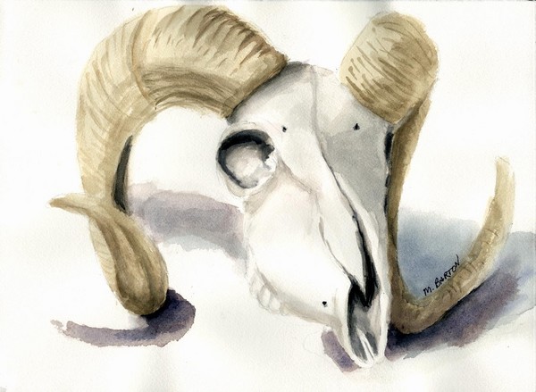 Skull 2