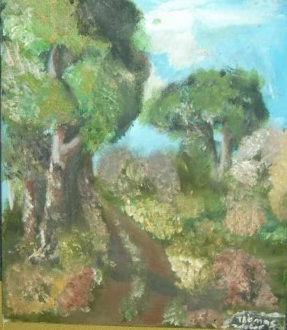 light of the trees and road