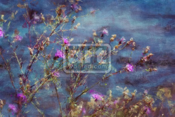 Flowers in Pink and Blue