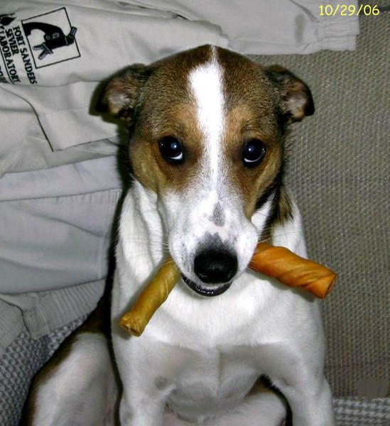 They're my chewies-all mine!
