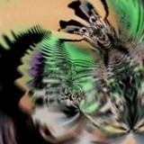VIBRATION