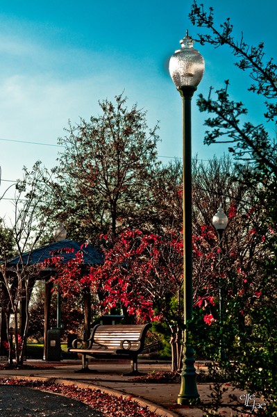  Bench #1
