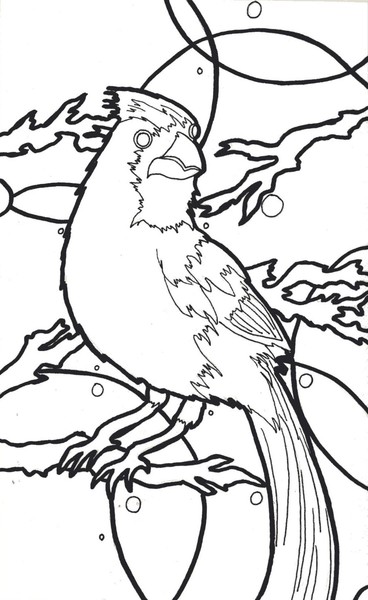 Bird study 2