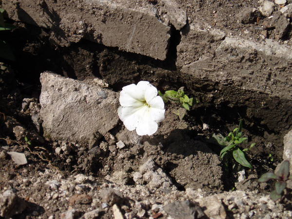 Hope