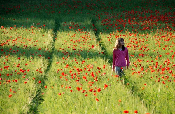 Alice Amongst the Poppies