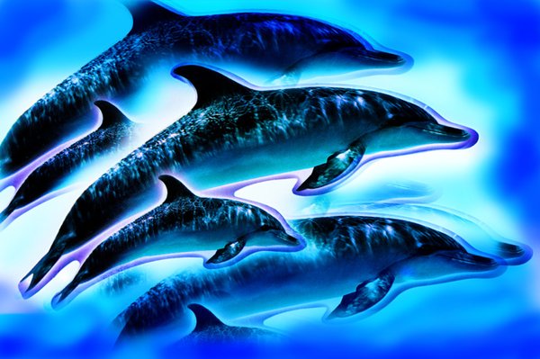 JUST DOLPHINS