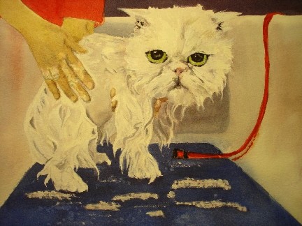 Pathetic Persian