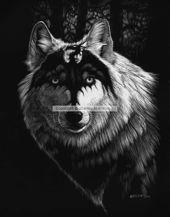 Dragon Wolf