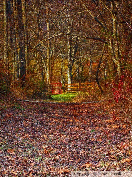 A gated lane