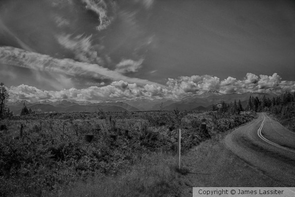 B&W Scene