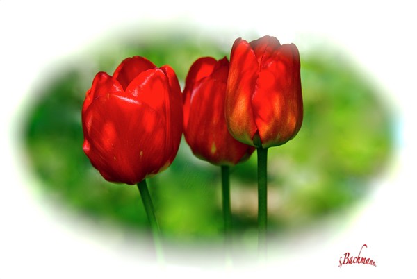 Something red !