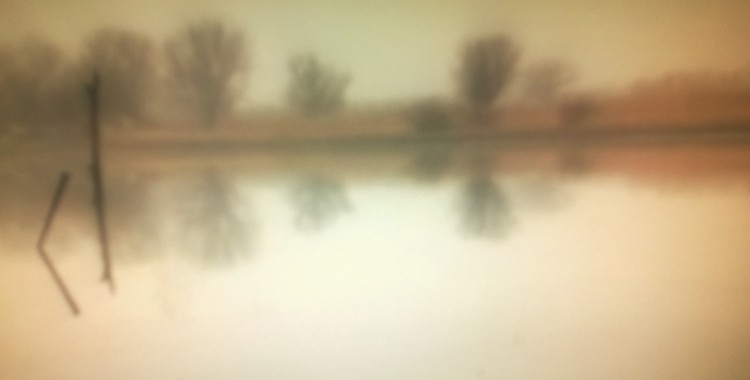   Paesaggio silente 2019