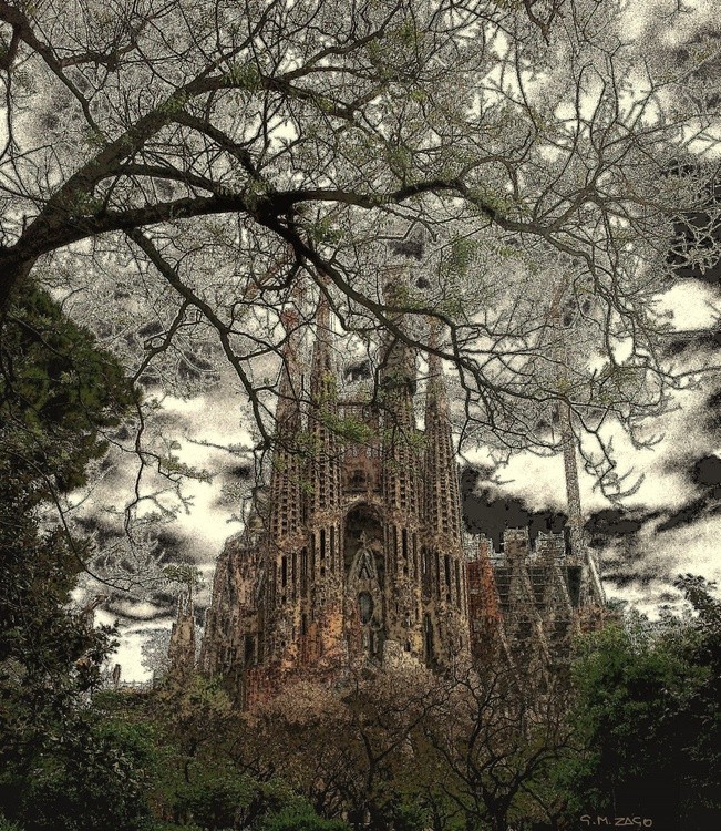  An enchanted dream