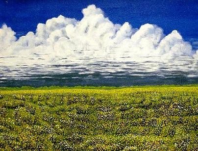 Wild Flowers