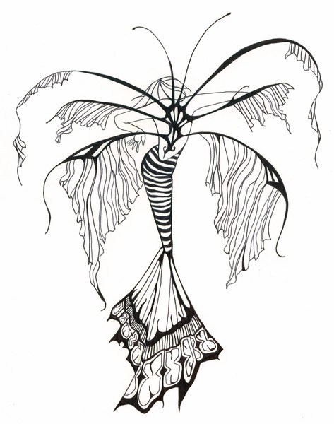 Whispers wings