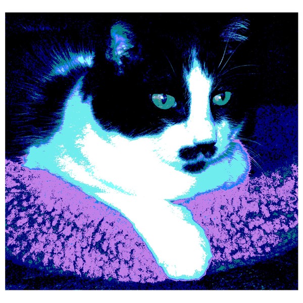 Zappa