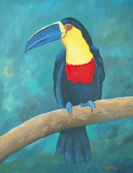 Red Breasted Toucan