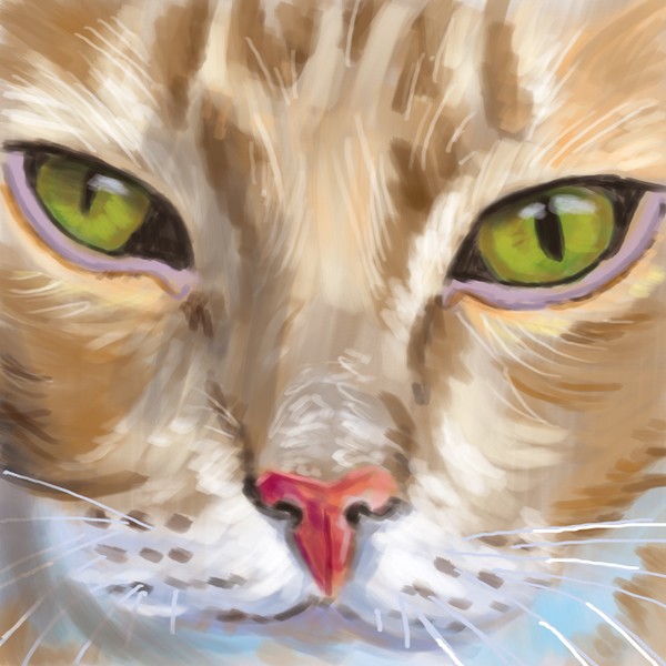 A quick sketch