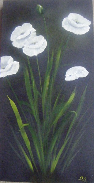 White Poppy