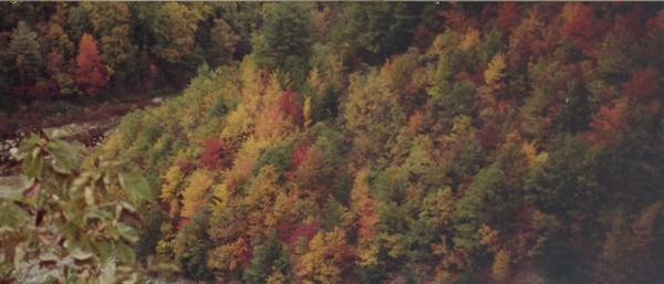 Cumberland Colors.