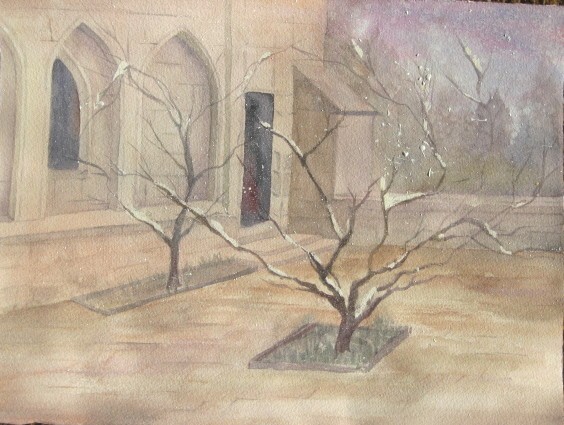 Cloisters Arboretum