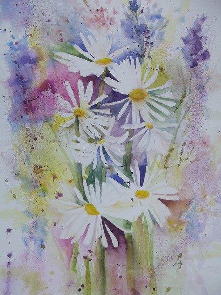 Daisies