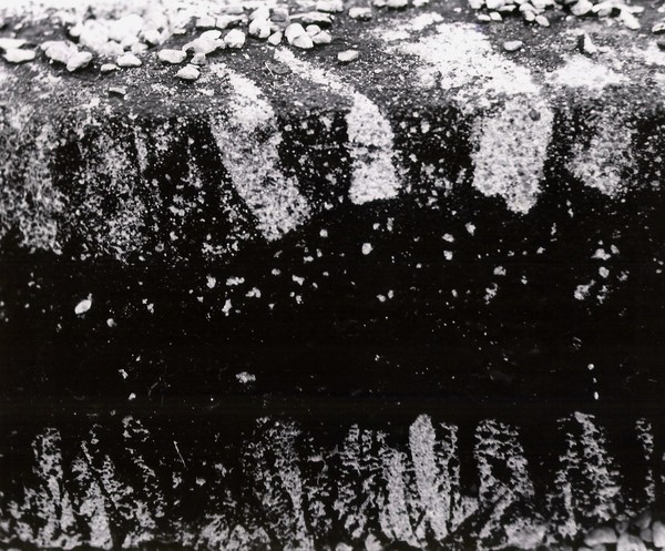 Curb Stone #2