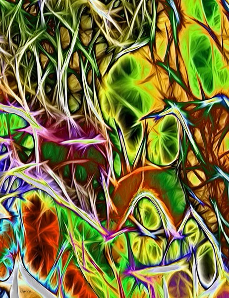 Wildness