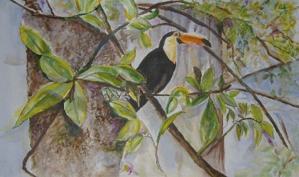 toucan