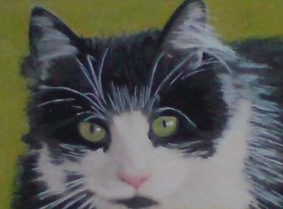 tommy