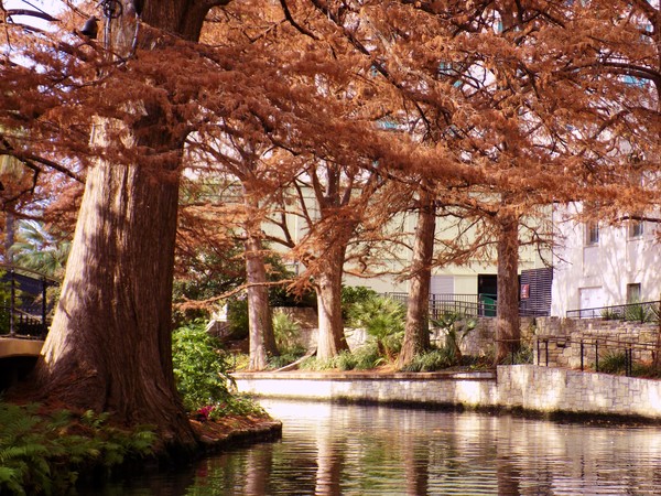 San Antonio River