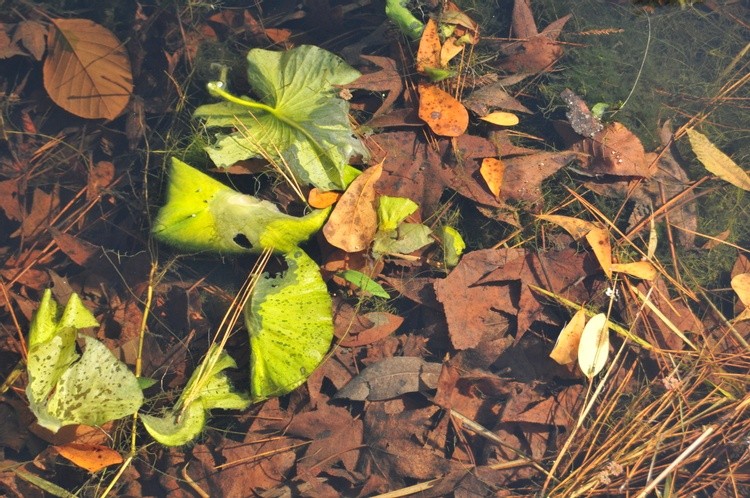 photos2015 011