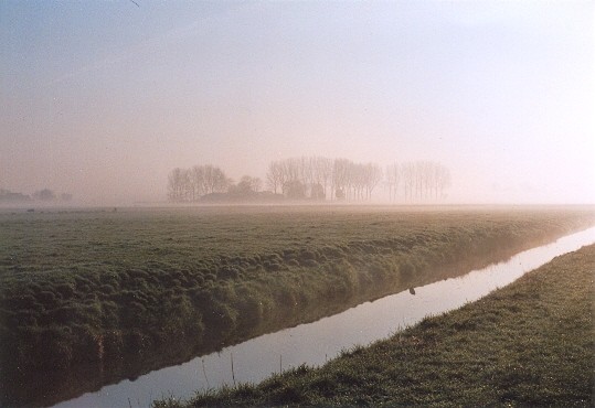 Foggy Dutchpolder in the morning