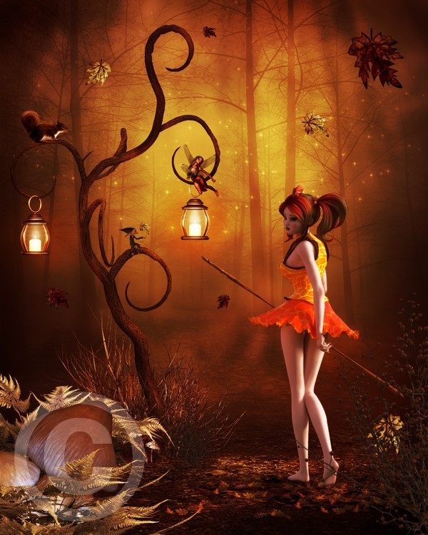 The Enchanted Forest