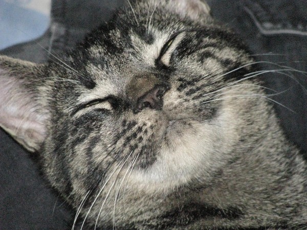 SMILE!