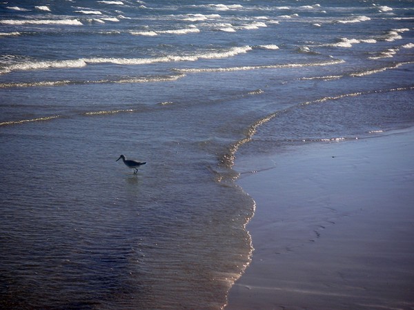Being One With The Gulf - Vigilant