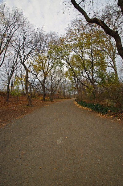 IMGP8473