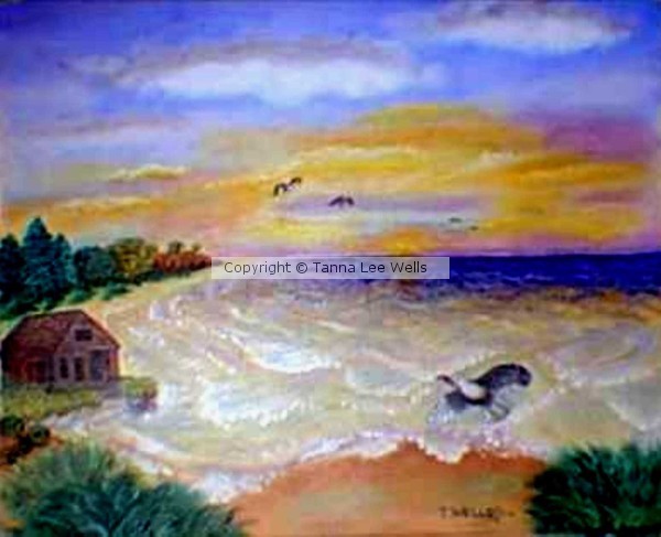 A Coastal Delight