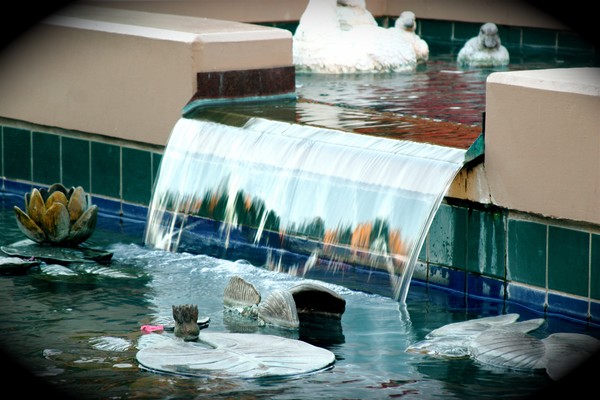 Water Pond
