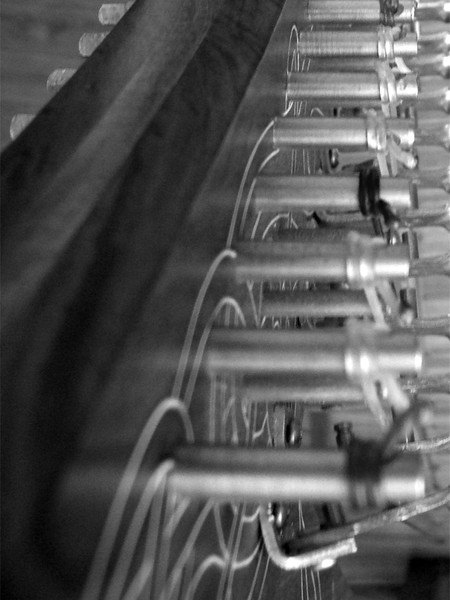 Vertebrae 1. Photo Study.