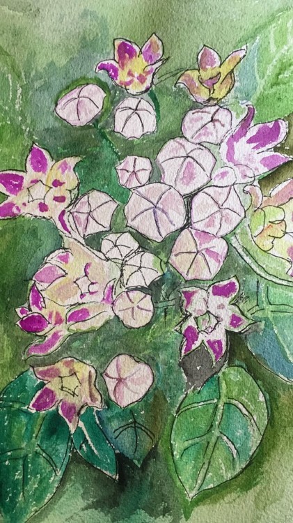 thumbnail IMG 5896
