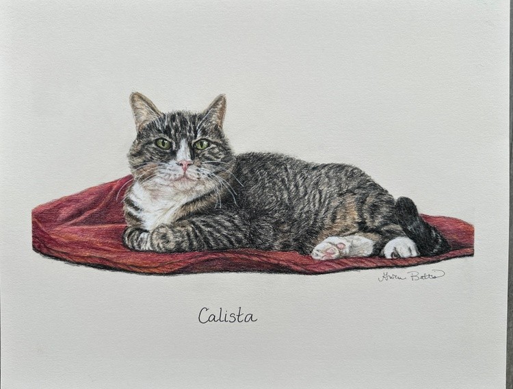 Calista Cat