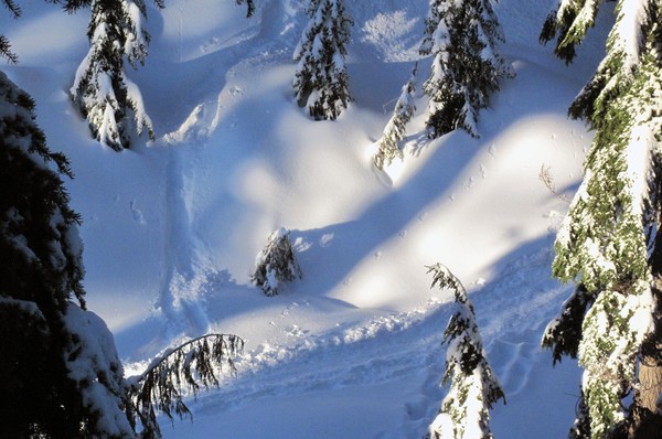 Seymour Snow Scene 14