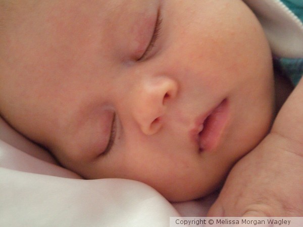 Sleeping Beauty